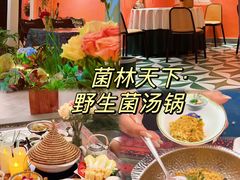 -菌林天下·野生菌汤锅