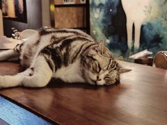 -咖法森林·咖啡  酒吧(天河店)