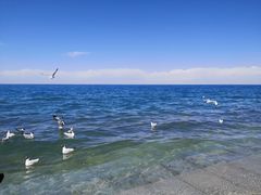 -青海湖二郎剑景区