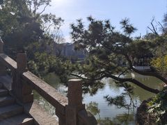-上海醉白池公园