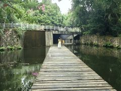 -燕晗山郊野公园