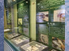 -上海昆虫博物馆