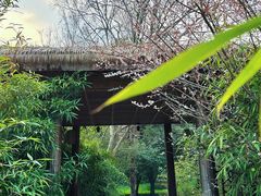 -苏州上方山国家森林公园