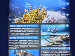 -重庆欢乐海底世界