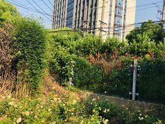 -赫尔森口腔·牙齿种植修复