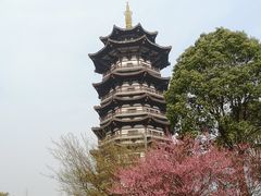 -洋湖国家湿地公园