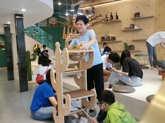 -飞行喵MR PILOT|猫舍·猫咖(静安大融城店)