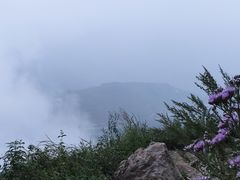 -阳台山自然风景区