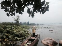 采菱人-西昌邛海湿地