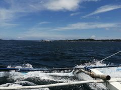 -长滩岛登岛码头