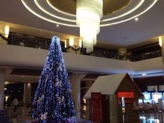 天津滨海圣光皇冠假日酒店-天津滨海圣光皇冠假日酒店