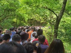 -溪口-滕头旅游景区