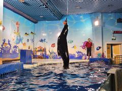 -太平洋海底世界