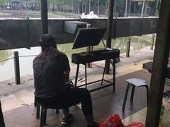 -杨柳青庄园