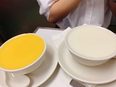 杏汁炖蛋-澳洲牛奶公司(佐敦店)