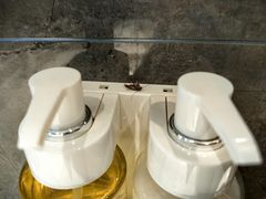 -成都世纪城假日酒店-西楼