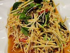 椿芽芸丝-万和源炝锅城·活鱼现炝(文艺北路店)