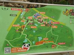 -空港花田景区