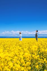 -蒙娜丽莎婚纱摄影·旅拍