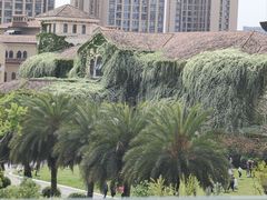 -府河摄影公园