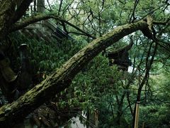 -綦江古剑山