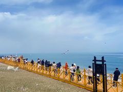 -青海湖国家重点风景名胜区
