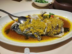 口味有机鱼头-口味堂(机场河店)