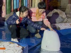 -大连圣亚海洋世界