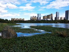 -洛龙公园