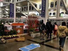 -厦门高崎国际机场-T3航站楼