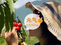 -萝卜寨羌文化生态旅游区