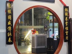 -温鉴良实用咏春拳