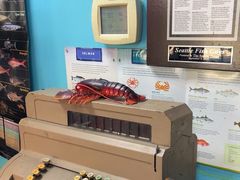 -Seattle Fish Guys