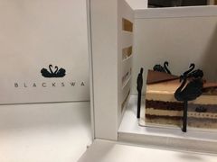 -BLACKSWAN黑天鹅(环球店)