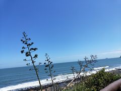 -漳州滨海火山岛自然生态风景区