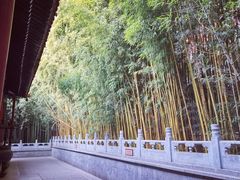 -潭柘寺景区
