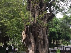 -南宁南湖公园