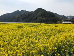 -新安江山水画廊风景区