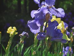 -国家植物园南园