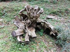 -藏龙百瀑风景区