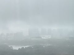 -上海浦东嘉里大酒店