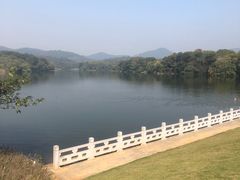 -佛手湖郊野公园