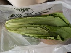 -新隆嘉 供销超市(修竹商场店)