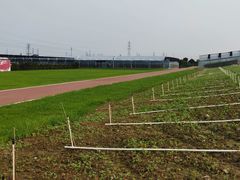 -迪茵湖田家舍生态农场