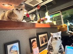 -咖法森林·咖啡  酒吧(天河店)