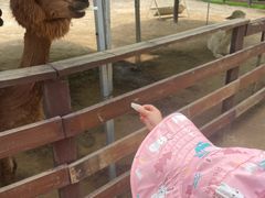 -盈香心动乐园