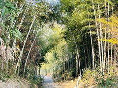 -仙霞关景区