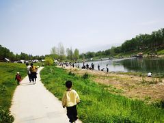-洨河生态公园