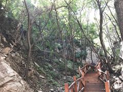 景点-大岭沟猕猴桃谷风景区