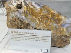 -中国第四纪冰川遗迹陈列馆